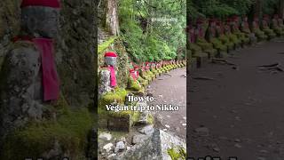 How to: vegan trip to Nikko, Japan