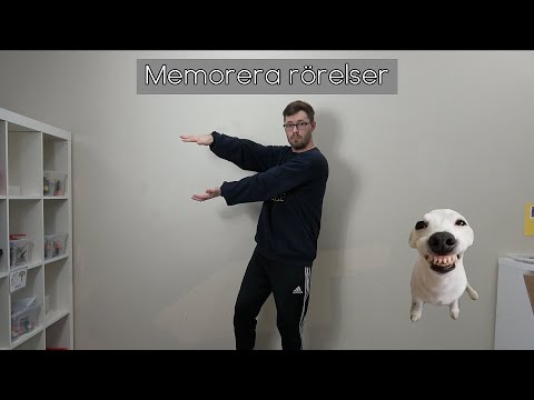 Memorera rörelser: Djur (Lek för förskola / skola)