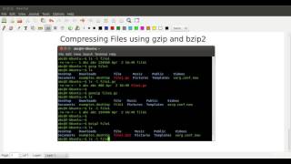 013 Compressing Files using gzip bzip2 and tar