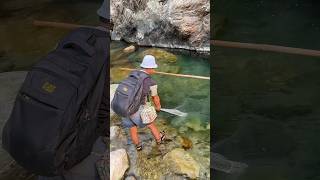 Amazing cast net fishing #nepalfishing #aadhikhola #fishinglife