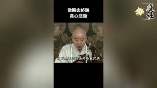 兩分鐘 學習淨空老和尚 佛法精華 第四十六集 | 當臨命終時，貪心沒斷。#兩分鐘佛教常識 #新山阿彌陀佛蓮社 #净空老和尚 #學佛 #阿彌陀佛  *資料來源：華藏淨宗學會 HwaDzan.com