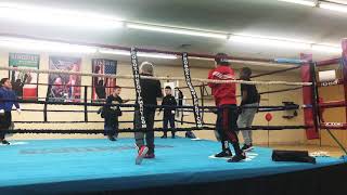 ITALIAN PUERTO RICAN HUNGARIAN MEXICAN MIXED VEGAN BOXER BRO’S  (Victorville & Hesperia Boxing)