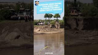 Shocking Video shows Tourists Block Wildebeest Migration