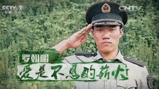 罗朝明：爱是不息的薪火 【军旅人生20150819 】
