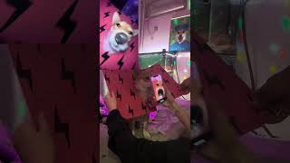 卡脖子第三视角#柴犬 #APT #第三视角