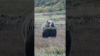 Joe Rogan Shares Chilling Kodiak Bear Attack Story