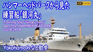 【Yokohamaみなと散歩】ハンマーヘッドパーク・新港ふ頭・練習船「銀河丸」/ "Ginga-maru" Shinko Pier（2025年3月下旬）【Yokohama Port Walk】