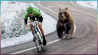 那些鏡頭記錄下人和動物相遇時，難以置信的精彩瞬間！真的太驚險有趣了 ，若非是被相機記錄，否則沒人會相信。