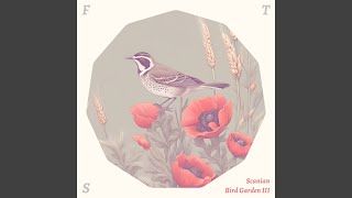 Mellow Bird Garden
