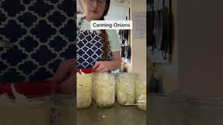 Canning Onions #shorts #canning #foodpreservation