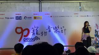 2024-07-27 Paula Au 區子琳 - 瘟疫在愛蔓延時 @ Petagon 寵物音樂節（部分片段）
