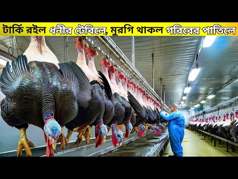 💰Rich People Eat Turkey… Average Eat Chicken? Turkey- King of meat.  Pranicharge