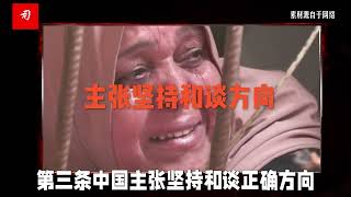 司马南再谈巴以冲突