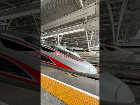 Bullet Train 🚅 to Shanghai #travel #chinatour #chill