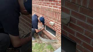 Don't Let Snakes Take Over Your House!