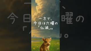 日めくりカレンダー7月17日木曜日♪花月深遠「VOICEVOX:ずんだもん」＃仏滅＃祇園祭#日めくりカレンダー #干支 #DailyCalendar #JapanCulture
