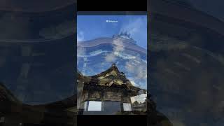 小鹿 奈良小鹿 日本旅游 日本 奈良公 园  京都二条城 城墙内的世界 旅行推荐官 东方美学 京都 氛围感 图文 #日本地接 #带团 #京都老司机 #小团 #Kyoto