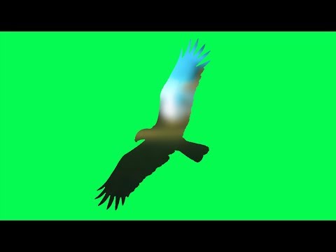 Flow 🌲🌅& Fun 🔥 FPV - MitiS beat drops FTW // Johnny FPV motors