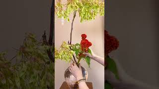瓶花｜艺术范儿椿树夏日的臭椿果实，一串串挂满了枝头大自然的调色盘再一次打开带着小翅膀的果实从黄绿色渐变到橘红色红艳鸡冠垂首，点染夏意浓花材：臭椿、鸡冠花、小菊#中式插花 #插花培训 #插