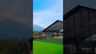 cafe andong valley magelang #shorts #javanica