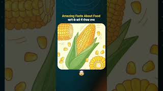 Amazing Facts About Food 🥙🤯 | Crazy Facts About Food 🤯 #facts #shorts