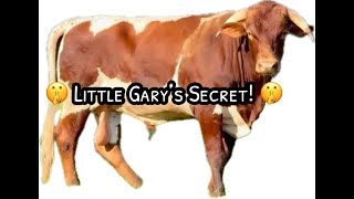 Could Little Gary Live On?