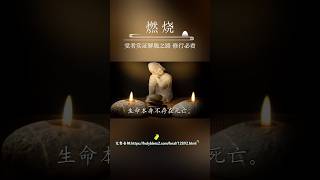 换句话说，在死亡当中，只有生命本身；能够死去的都不是生命本身，生命本身不存在死亡。 #觉悟者 #人格 #人格解離 #生命实相 #死亡 #觉悟之道 #智慧 #真理 #认知提升 #佛法修行 #宽恕 #明心