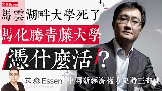 马云的湖畔大学挂掉了，马化腾的青藤大学，凭什么能活下来？中国新经济权力史诗三部曲 之 第二部｜艾森 Essen