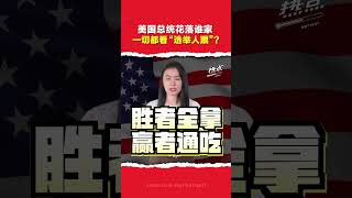 美国总统大选 | “选举人团”决定谁当总统？美国总统选举，最终由538人决定谁当家？