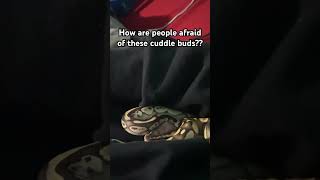 He’s so cute tho 😢 #petsnake #snake