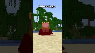 The "Actual" Rarest Death Message In Minecraft...