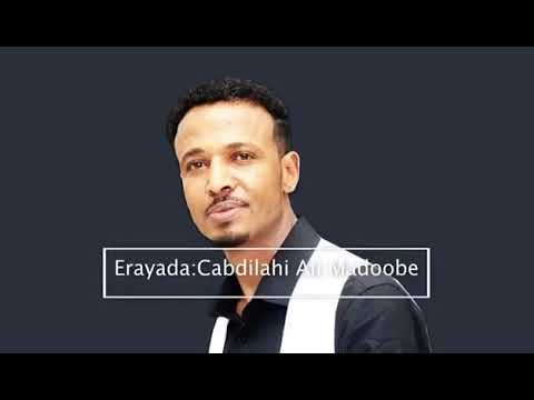 Abdi hani xashi