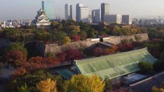 空から大阪城公園を見てみよう　～紅葉編～　The Osaka Castle Park from the sky