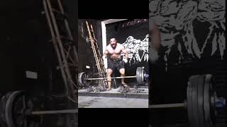 testosterone 🦍level 😱 || rajat dalal angry 😡//#shortsfeed #shortindia #youtubeshorts #rajatdalal