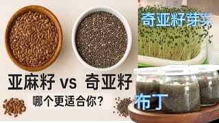 亚麻籽vs 奇亚籽 营养+生熟 吃法全解析 奇亚籽芽菜水培【GardenTime 田园生活分享】2024 5