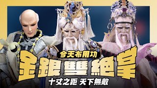 【今天布用功】十丈之外 天下無敵—金銀雙絕掌全紀錄｜武學強但打不了近戰？金銀雙絕掌的尷尬真相｜鄧九五、不望塵寰、聖蹤、月無波｜布袋戲懶人包｜