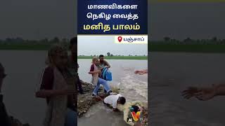 மாணவிகளை நெகிழ வைத்த மனித பாலம்  | AI News VTV | AI News Reader