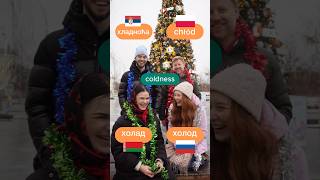 Russian, Belarusian, Polish and Serbian are so similar?!