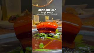 Chen’s Kitchen ~ Japanese Szechwan Cuisine in Paragon Orchard