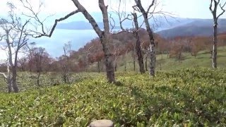 屈斜路湖展望台　北海道