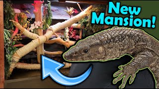 Rebuilding our Paludarium for Dewey! (Our dumbest lizard)