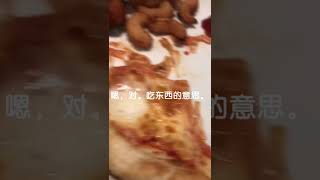乐队周末vlog