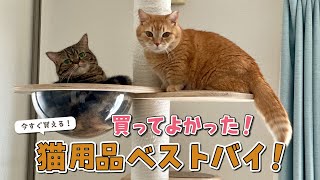 本当に買ってよかった！大満足の猫用品ベストバイを紹介します！