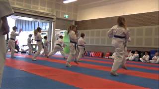 KARATE Kids Class (ages 8-12)