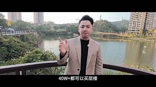 向往的湾区生活