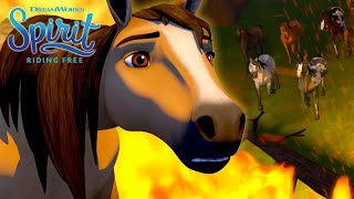 Spirit Saves the Herd from a Forest Fire! | FULL EPISODE | SPIRIT RIDING FREE