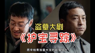 2025最新盗墓题材大剧，富大龙辛柏青正邪盗墓护宝大决战！ #护宝寻踪 #辛柏青演技有多牛 #富大龙演技炸裂 #影视解说