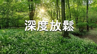 Beautiful Relaxing Music - Piano Music for Stress Relief, Happy and Positive Energy, Dopamine Music