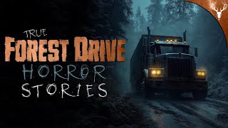 6 Driving through the Dark Woods HORROR Stories