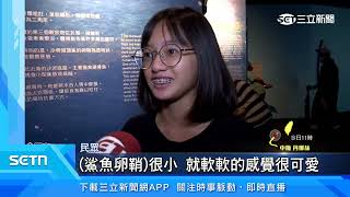 屏東海生館夏日海洋季　福爾摩＂鯊＂之旅登場｜三立新聞網 SETN.com